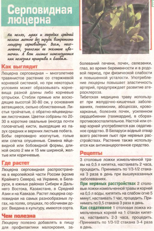 Люцерна трава 250 гр. в Иркутске
