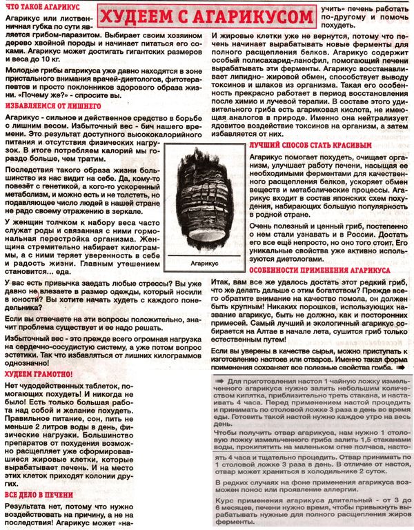 Агарик гриб 100 гр. в Иркутске