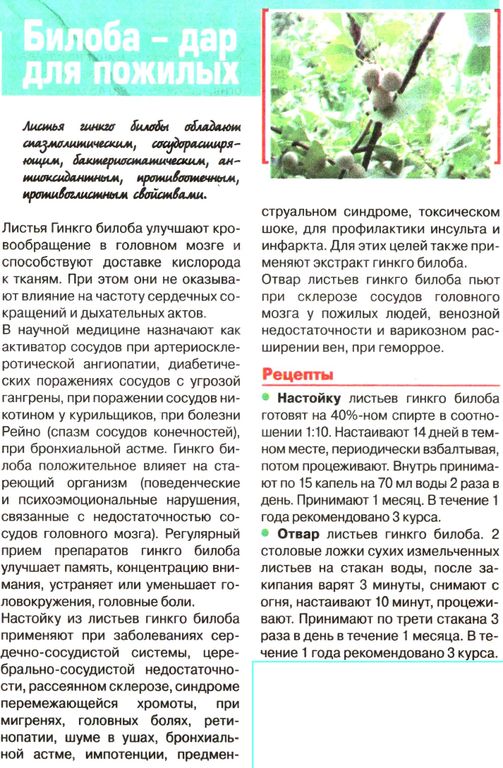 Гинкго билоба, лист 50г в Иркутске