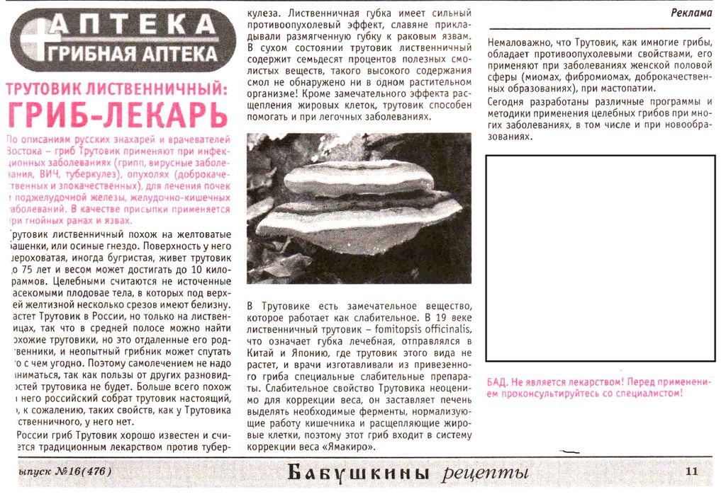 Трутовик лиственичный  (рубленный кусочками) 100г в Иркутске