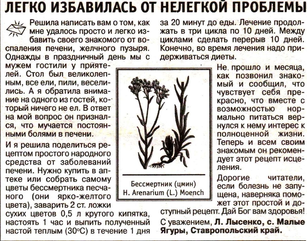 Бессмертник цветы 100 гр. в Иркутске