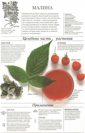 Малина лист 250 гр. в Иркутске