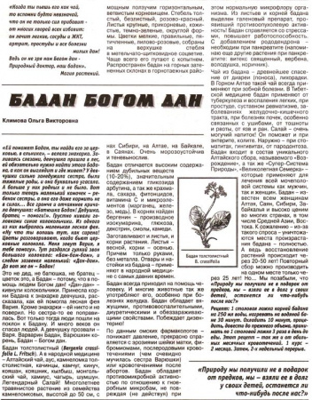 Бадан лист 100 гр. в Иркутске