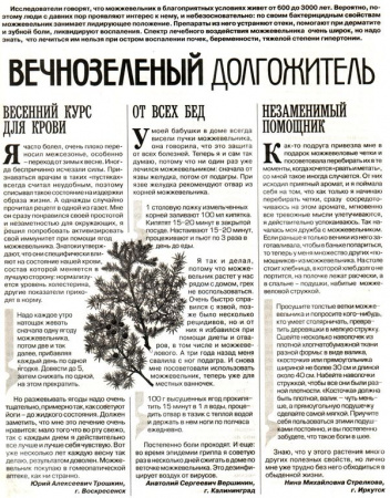 Можжевельник плод 100 гр. в Иркутске