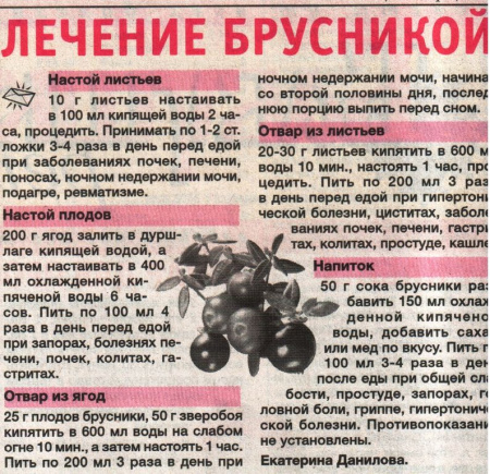 Брусника лист 100 гр. в Иркутске