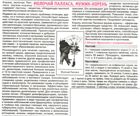 Молочай Палласа (мужик корень) 25г в Иркутске