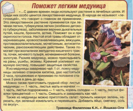 Медуница трава 100 гр. в Иркутске