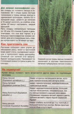 Хвощ трава 200 гр. в Иркутске