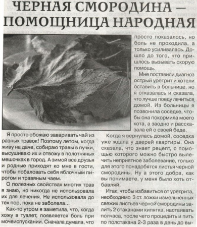 Смородина лист 200 гр. в Иркутске