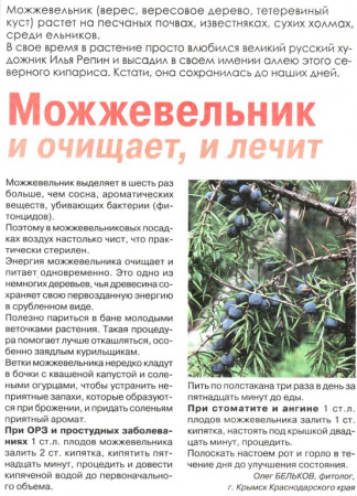 Можжевельник плод 100 гр. в Иркутске