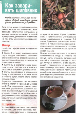 Шиповник плоды 100 гр. в Иркутске